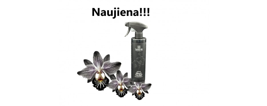 naujienos 